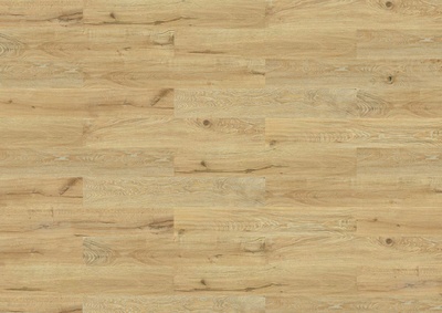KWG Korkboden Samoa Denver oak Designboden Sheets zum Verkleben